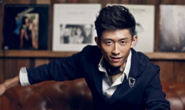 吃瓜娱乐圈八卦王凯,娱乐圈吃瓜王，揭秘明星幕后故事